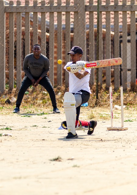 Renewable Energy in Cricket Stadiums: Harnessing Solar and Wind Power