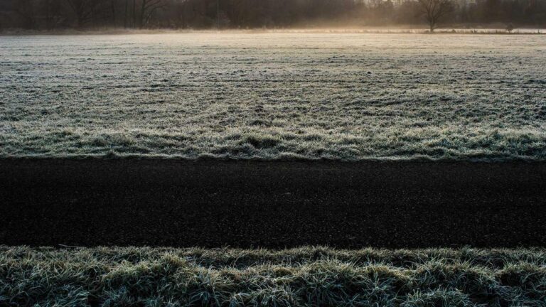 What Is Cricbet99 Reddy Anna And How Is It Related?